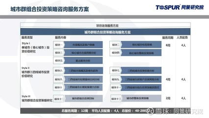 同策研究院投資咨詢服務 15大產品矩陣賦能決策，精準導航不動產投資